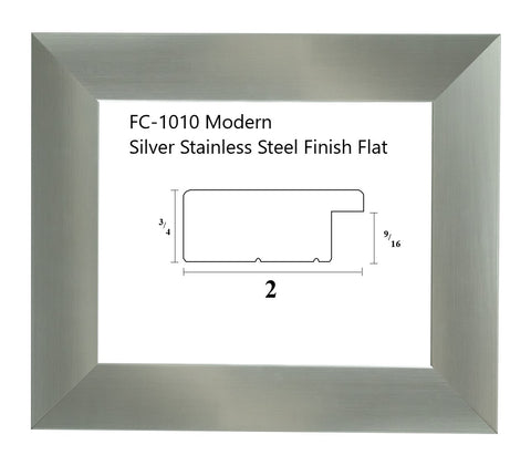 FC-1010 Modern Silver Flat