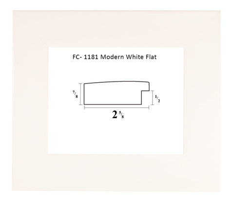 FC-1181 Modern White Flat